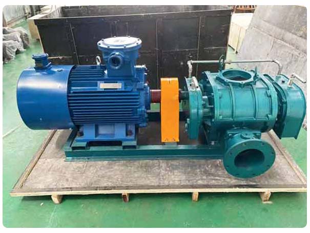 直聯(lián)傳動羅茨鼓風(fēng)機(jī) 直聯(lián)傳動羅茨鼓風(fēng)機(jī)